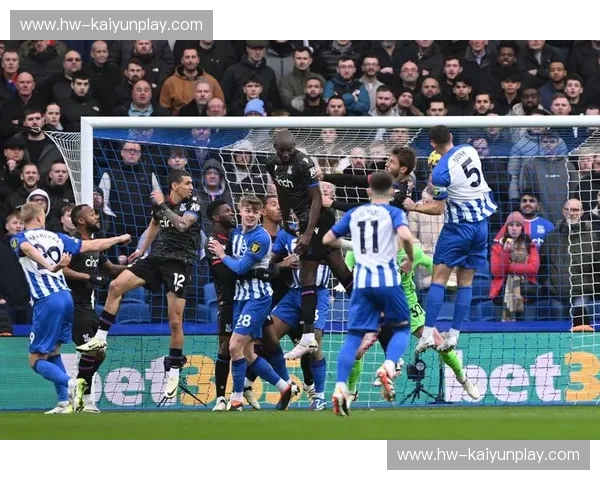 格斗赛事焦点对决：擂台两极之战，冠军之路在此展开